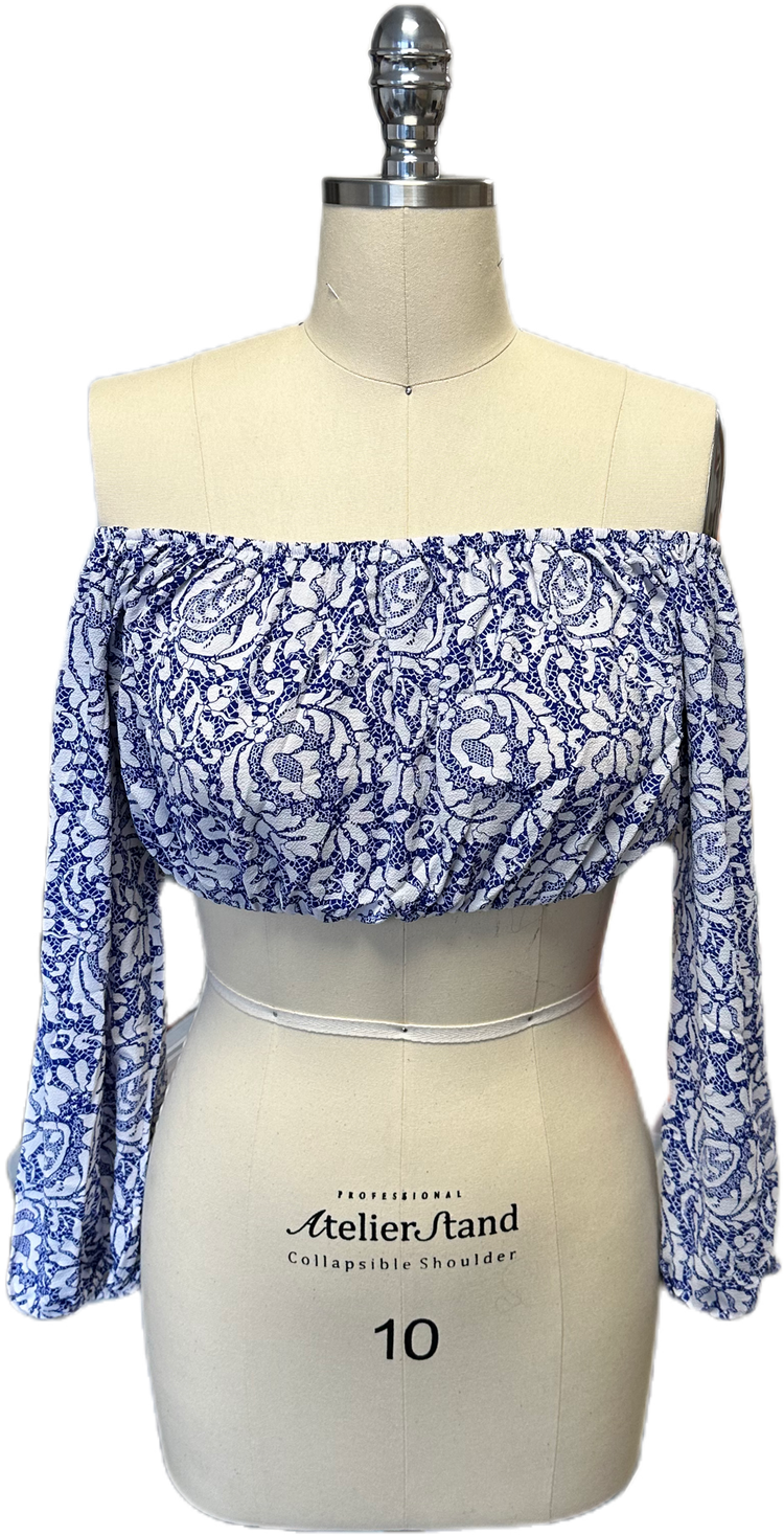 Blue and White ( Saree and Blouse )