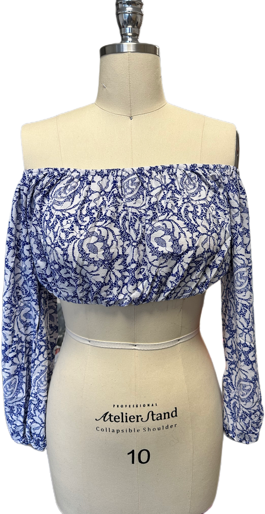 Blue and White ( Saree and Blouse )